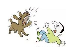 急救常識:被寵物咬傷如何急救